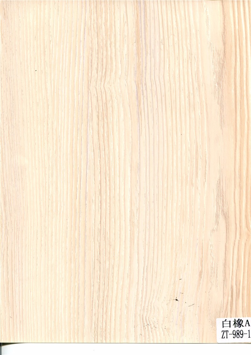 白橡AZT-989-1
