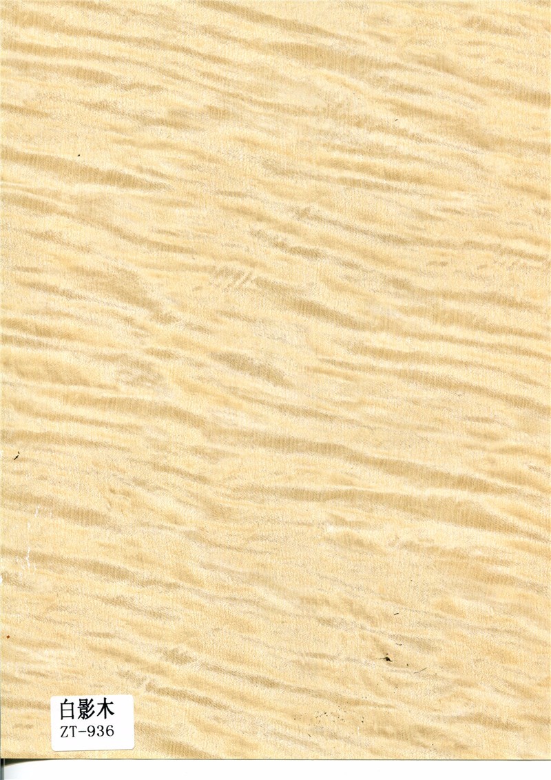 白影木ZT-936