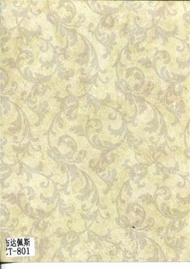 布达佩斯ZT-801
