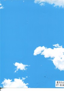 蓝天白云ZT-818