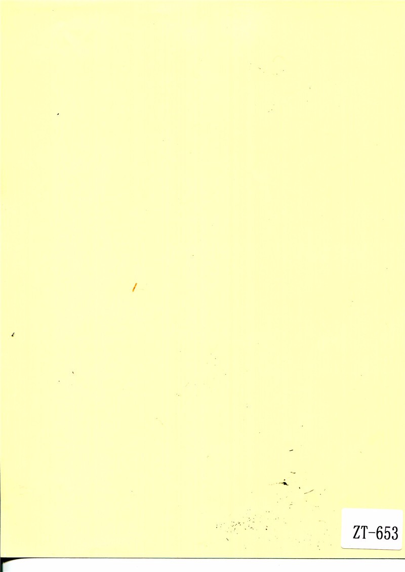 ZT-653