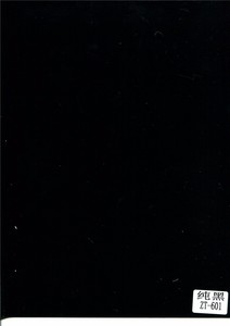 纯黑ZT-601