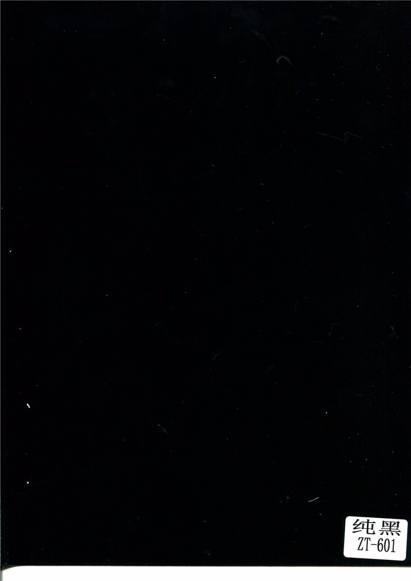 纯黑ZT-601